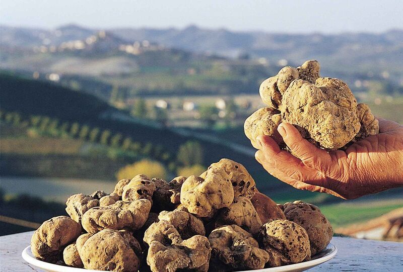 White Truffle Festival