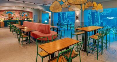 Atlantis Paradise Island – The Beach 4*