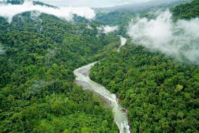 Pacuare Lodge 5*
