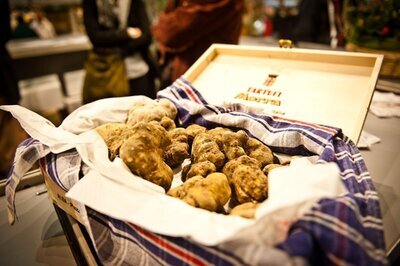 White Truffle International Festival