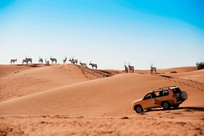 Al Maha, a Luxury Collection Desert Resort & Spa, Dubai 5.5*