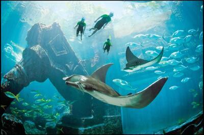 Atlantis Paradise Island – The Beach 4*